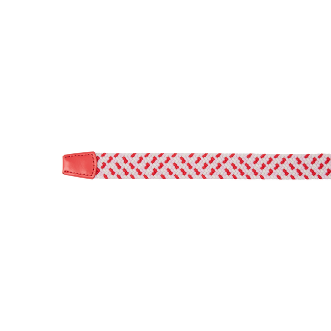 FJ Braided Belt